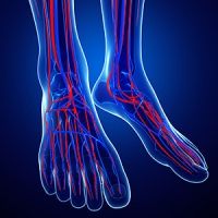 What Are the Symptoms of Poor Lower Limb Circulation?